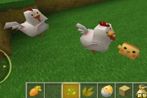 ​迷你世界怎么样小鸡 迷你世界小鸡养殖技巧