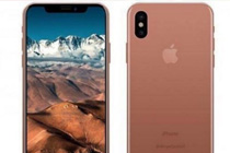 iphonex腮红金大概多少钱 iphonex腮红金是不是便宜点