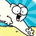 Simon’s Cat(西蒙的猫冲浪游戏) v1.4.0 最新版