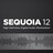 sequoia12(附注册机)