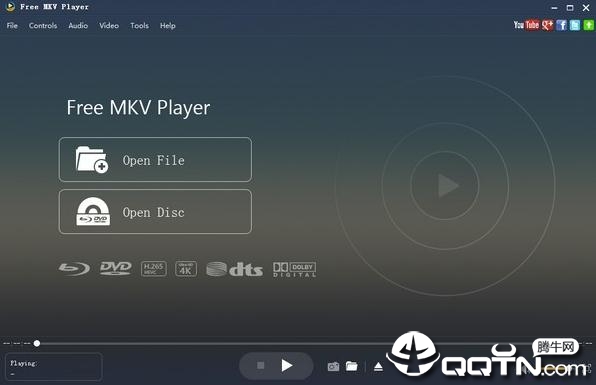 Aiseesoft Free MKV Player