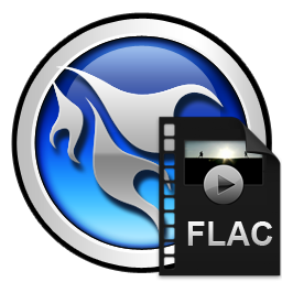 格式转换器AnyMP4 FLAC Converter