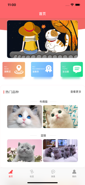 亲爱的猫咪app