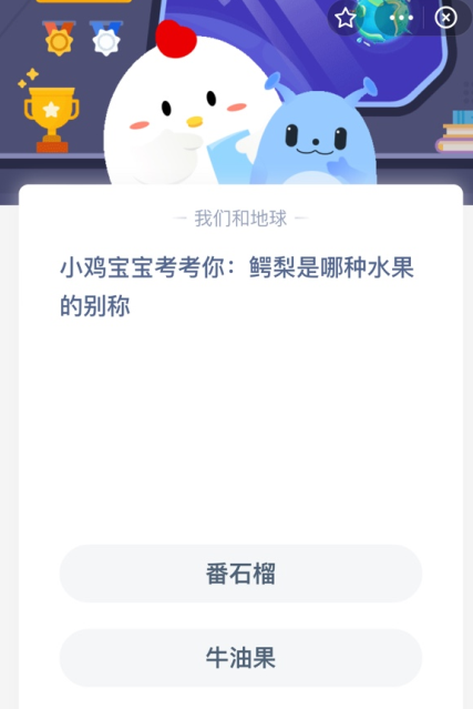 小鸡宝宝考考你:鳄梨是哪种水果的别称?