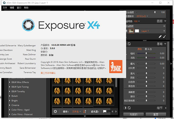 Alien Skin Exposure X4破解版