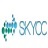 skycc网站收录查询工具下载