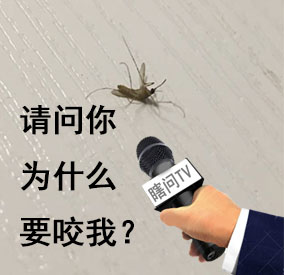 瞎问TV采访表情包