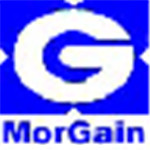 morgain2020结构设计软件