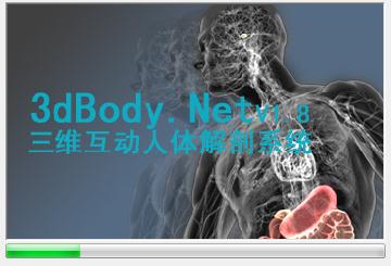 3Dbody