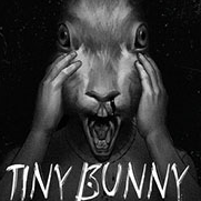 小兔子Tiny Bunny