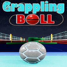 格斗球Grappling Ball