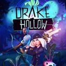 空穴(Drake Hollow)