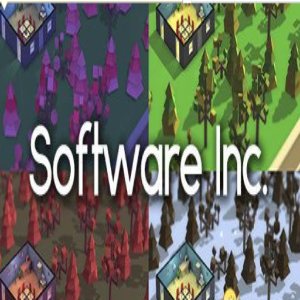 软件公司(Software Inc)