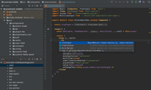 JetBrains WebStorm 正式版