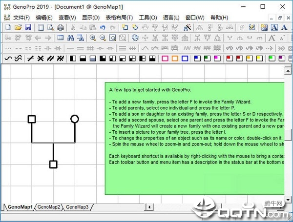 GenoPro2019家谱基因图创建工具