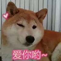 doge表情包卡通小版下载